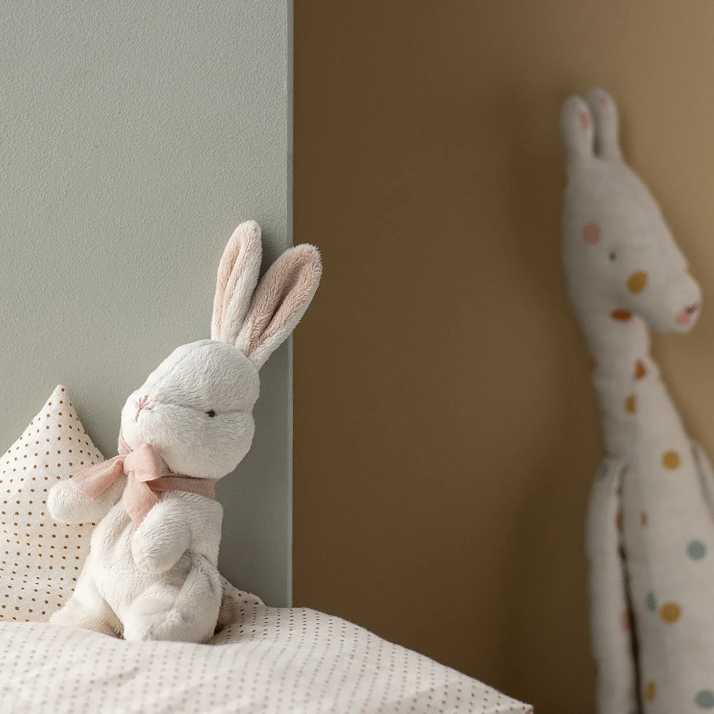 My first bunny Teddybeer