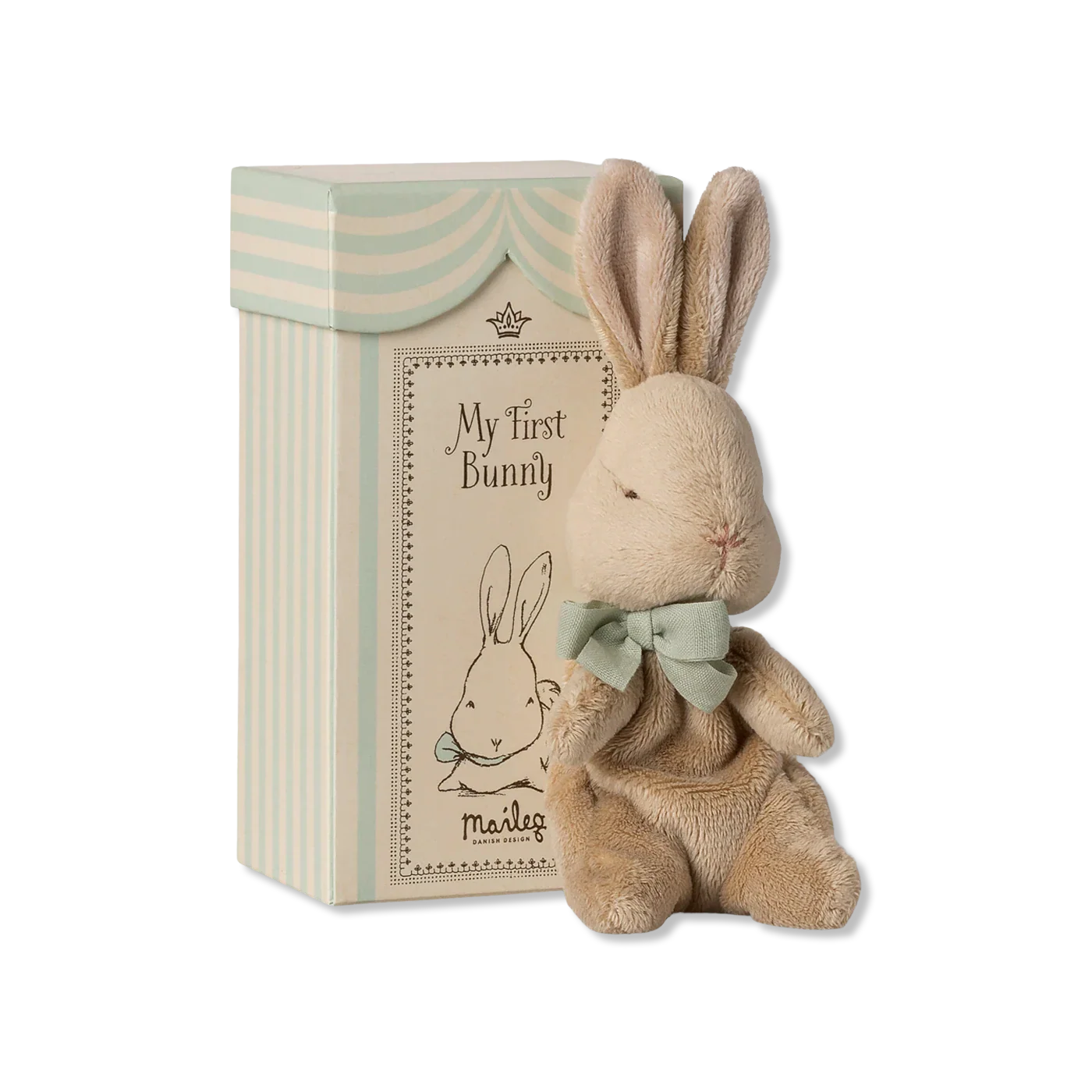 My first bunny Teddybeer