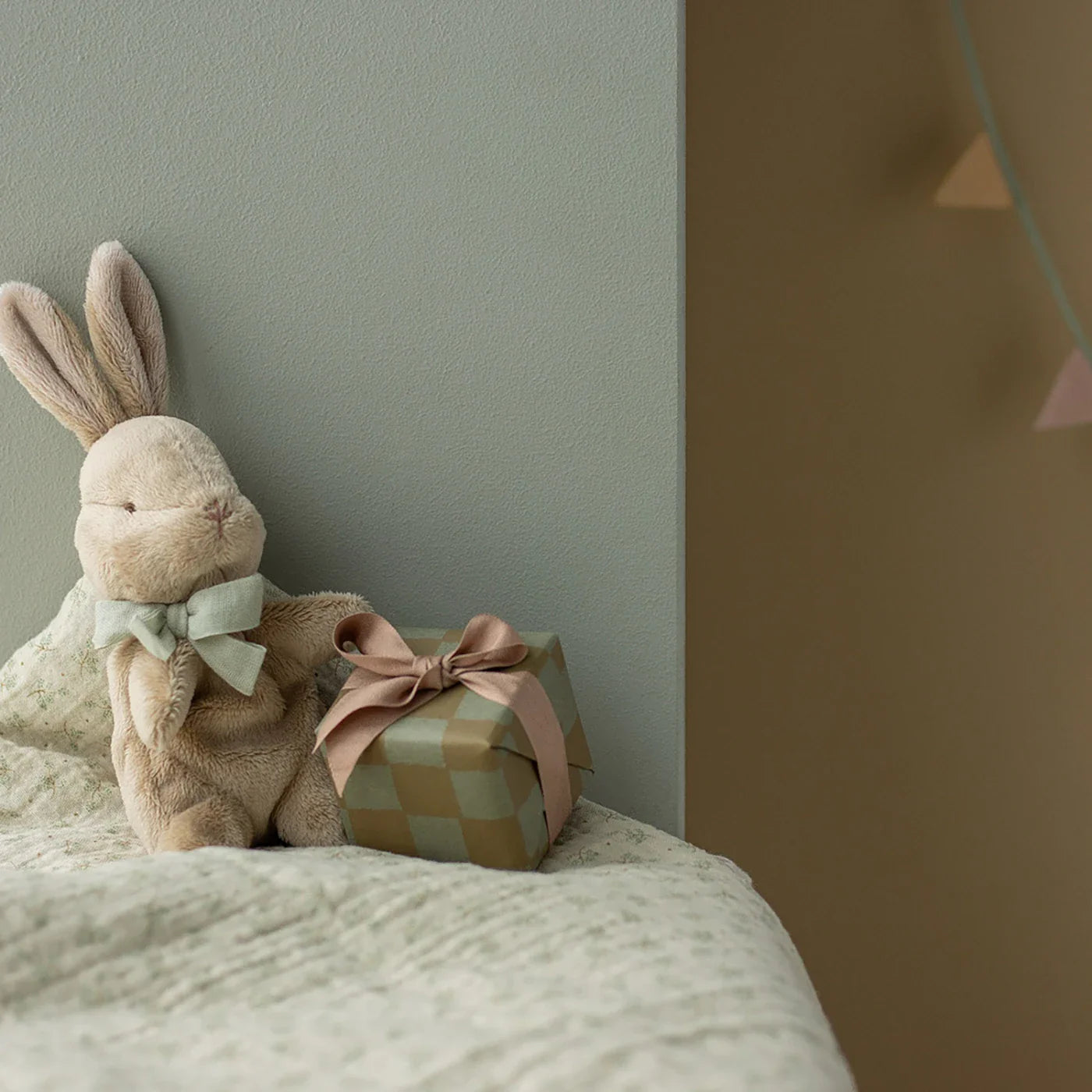 My first bunny Teddybeer