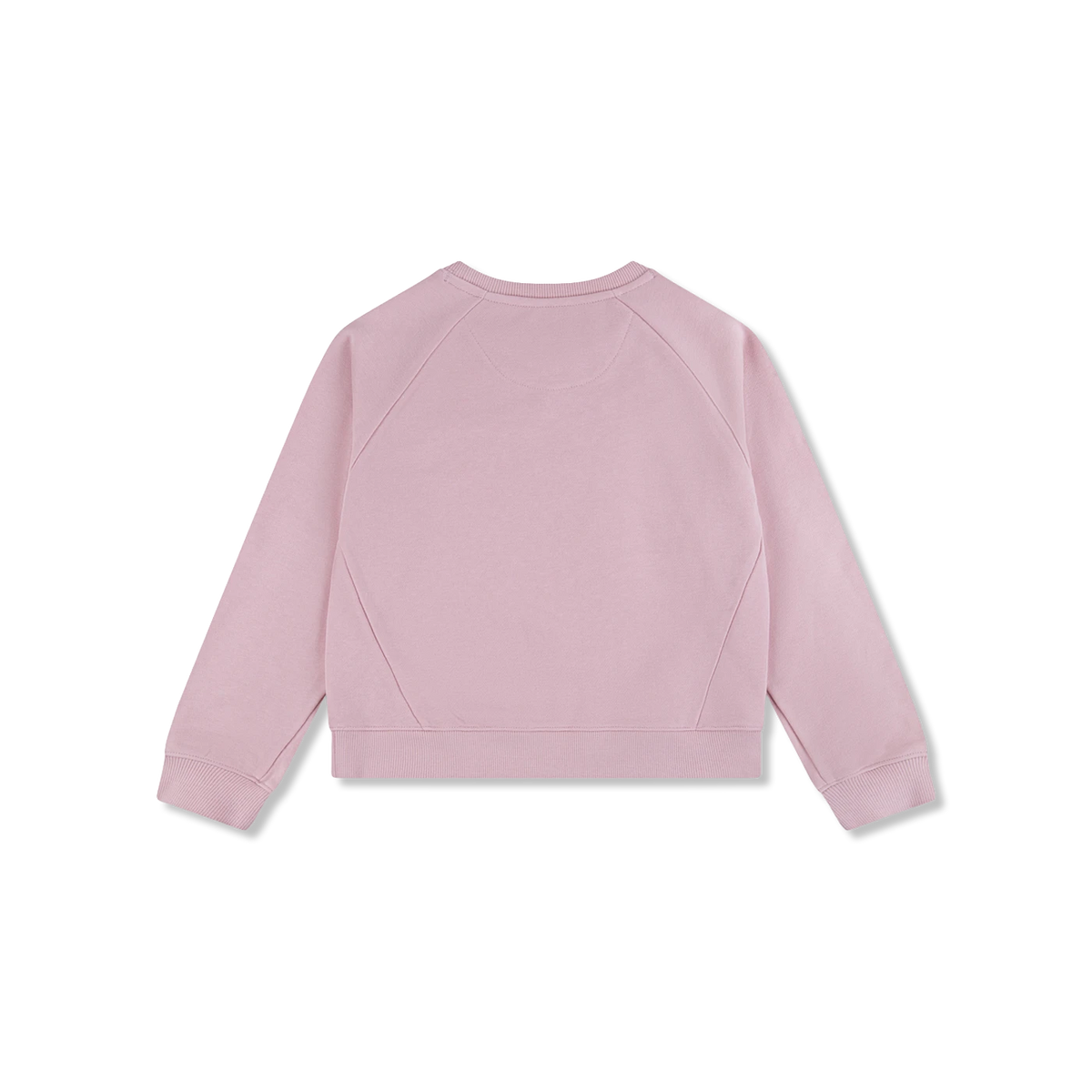 LVG CREW t-shirt lange mouw