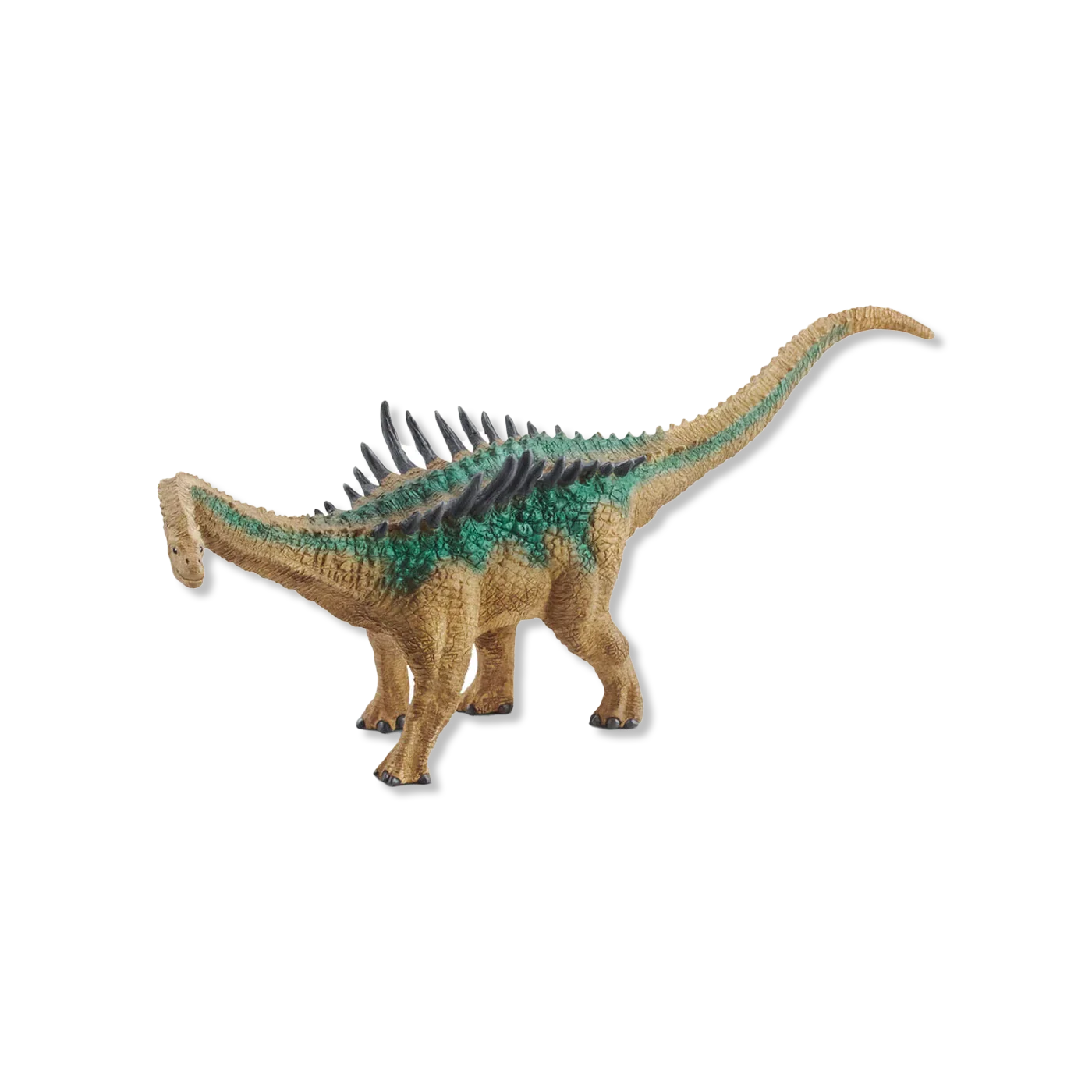 Agustinia dieren & figuren