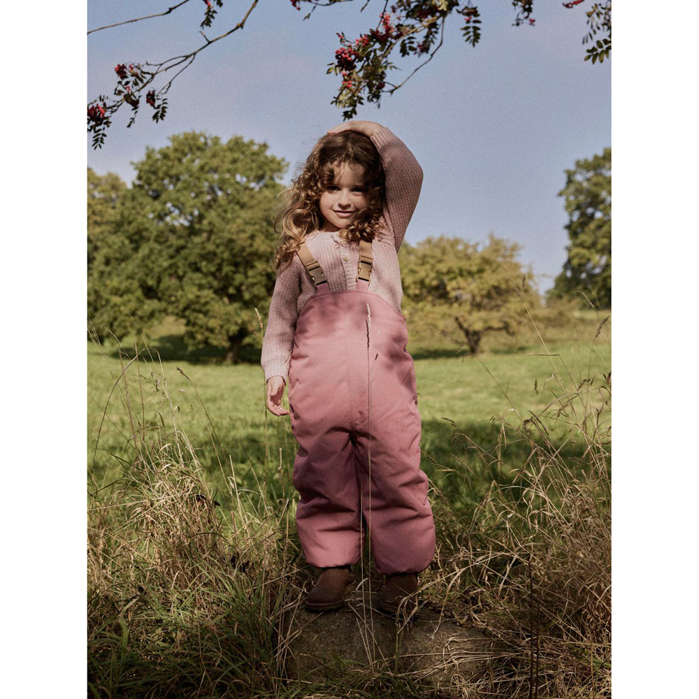 Nmflasnow10 overbroek