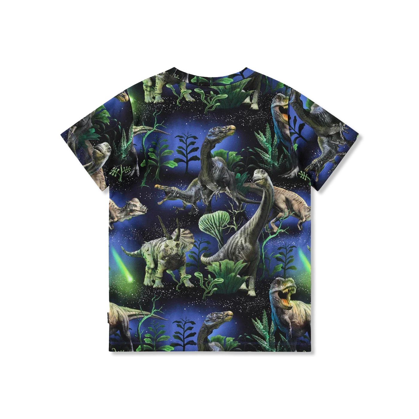 Ralphie t-shirt lange mouw