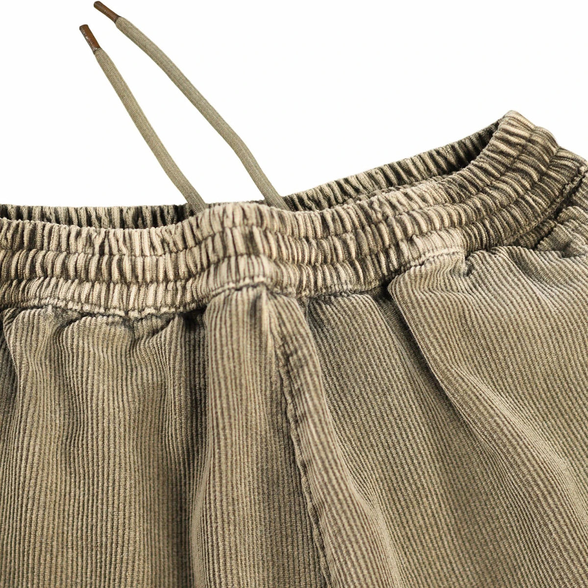Aster Broek