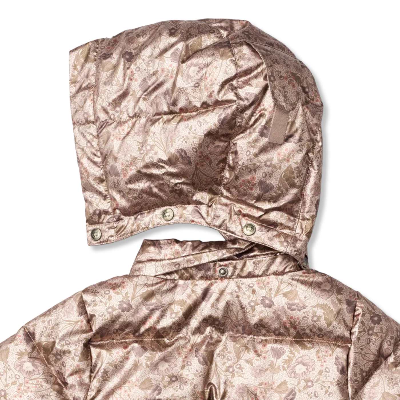 Eli Winterjas