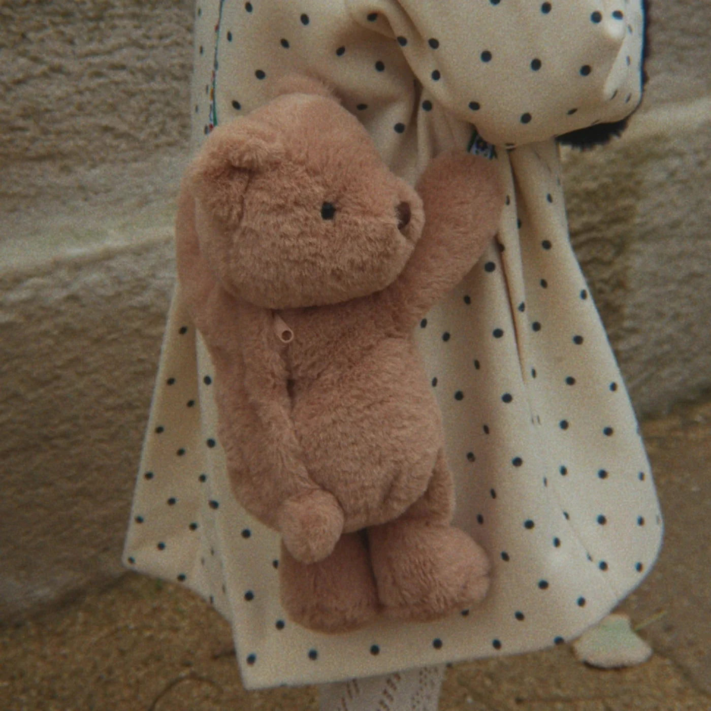 Teddy Tas