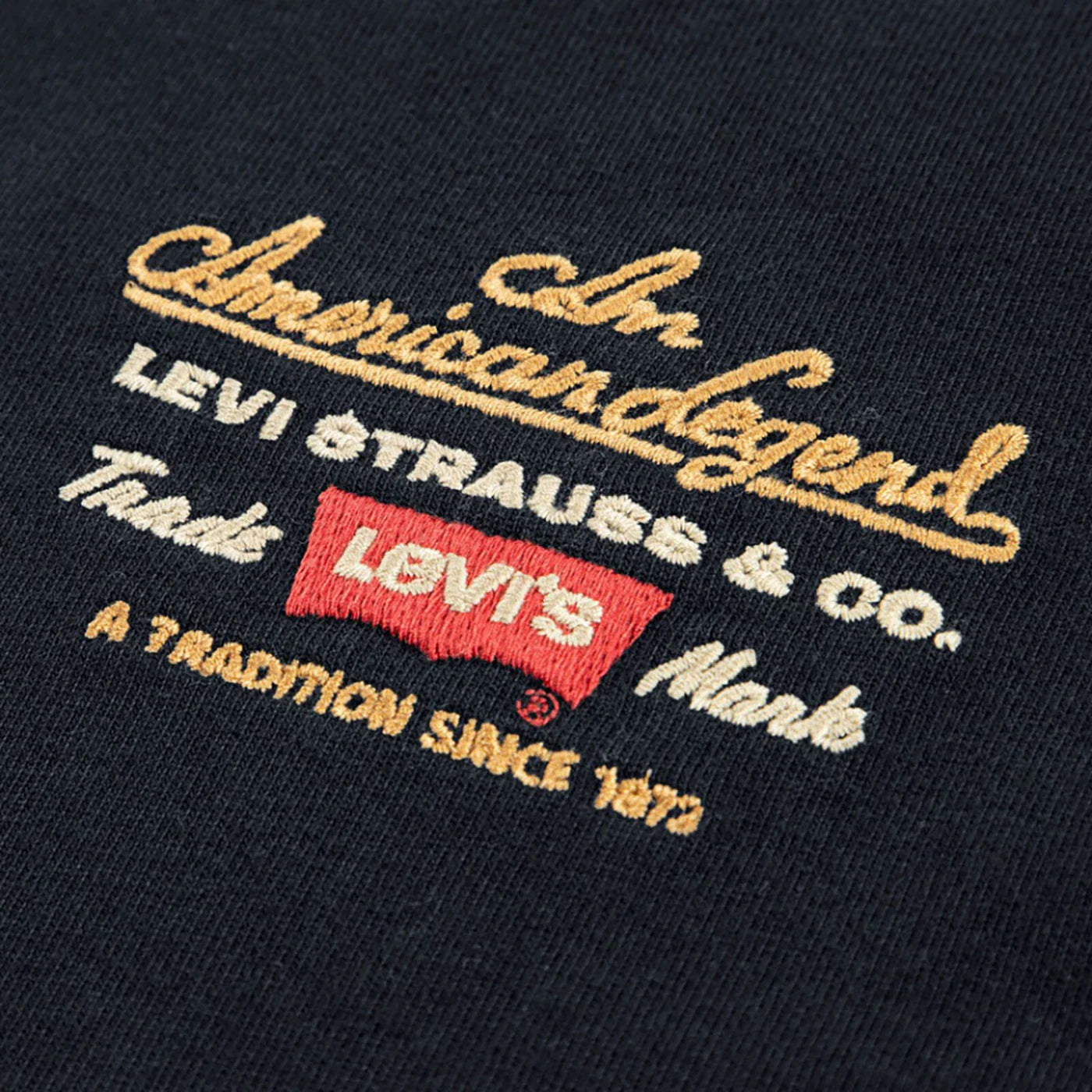 LVB LEGENDARY t-shirt lange mouw