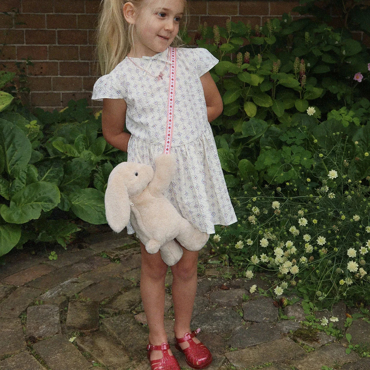 Teddy Tas