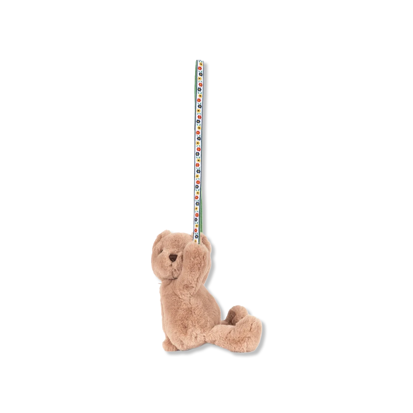 Teddy Tas